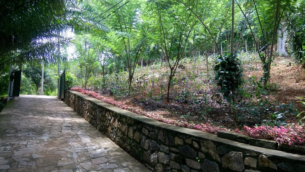 Apartmán Tea Leaf Retreat Kandy Exteriér fotografie